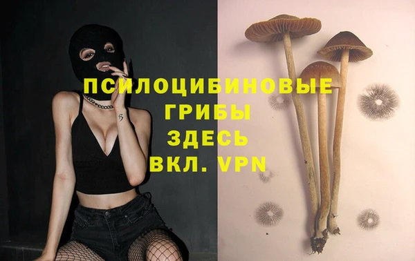 прущая мука Зеленодольск