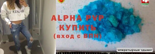 прущие грибы Зерноград