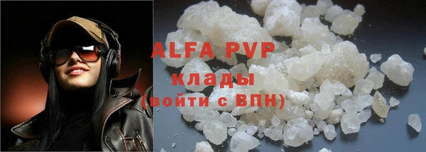 индика Зеленокумск