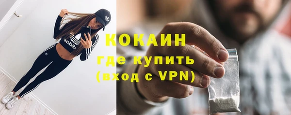 индика Зеленокумск