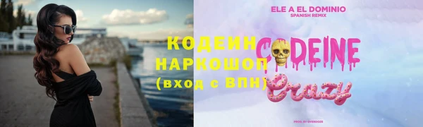 индика Зеленокумск
