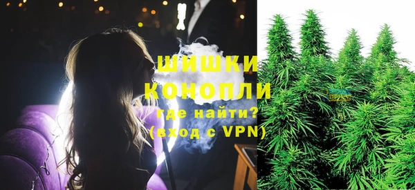 прущие грибы Зерноград