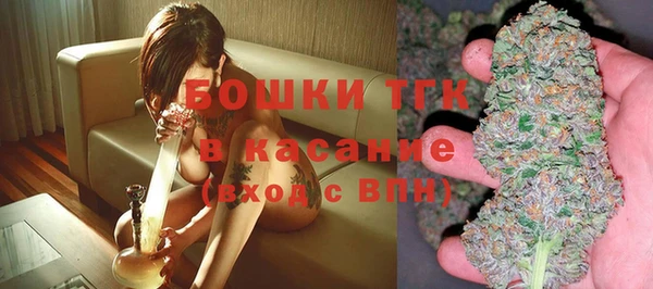 прущие грибы Зерноград