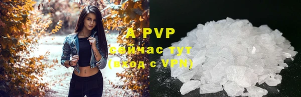 индика Зеленокумск