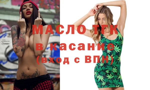 индика Зеленокумск
