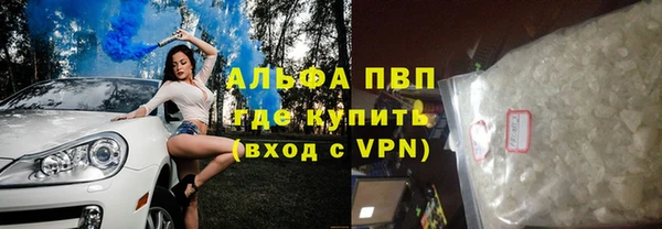 прущие грибы Зерноград