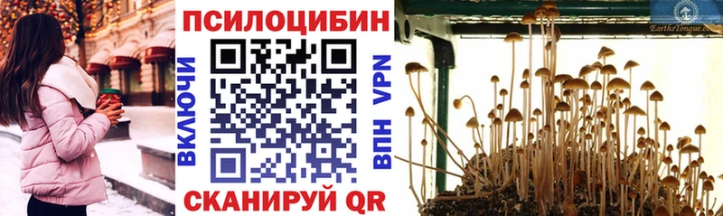 Купить закладки  Туринск  Псилоцибиновые грибы мухоморы 